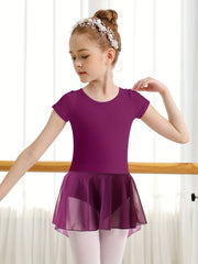 Toddler Girls Ballet Leotard Tutu Dress