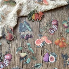 40pcs Plant Fruit PET Stickers for DIY Decoration Scrapbooking Supplies