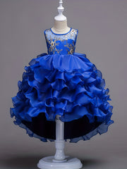 Kids Vintage Ruffle Lace Flower Dress Trailing Princess Dress