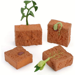 Farm Plant Life Cycle Figure Set Educational Toys Christmas Gift Learning