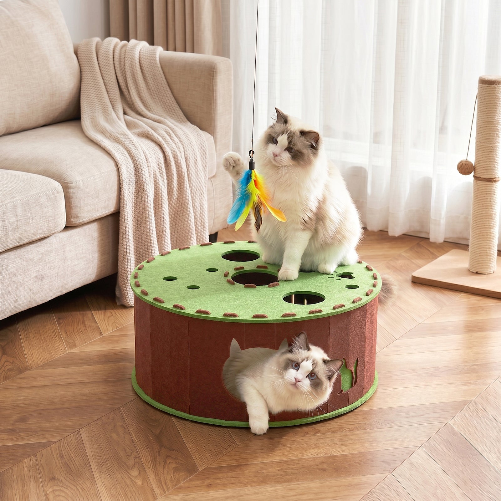 img_6353290