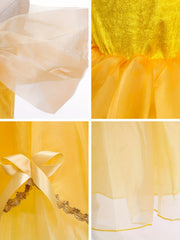 Princess Dress Puff Sleeve Fairy Tale Costume Kids Clothes