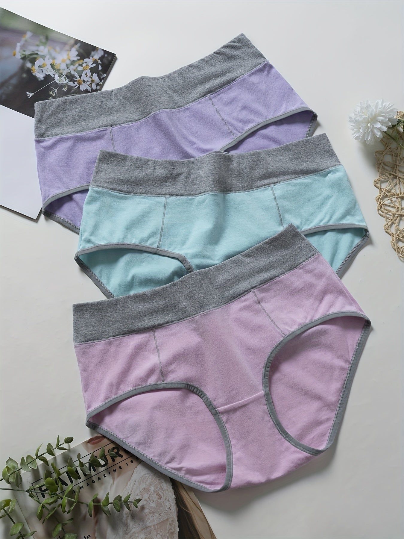 3 Pack Plus Size Colorblock High Rise Panties Set