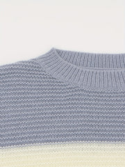 Block Knit Sweater Casual Crew Neck Long Sleeve Women's Clothing