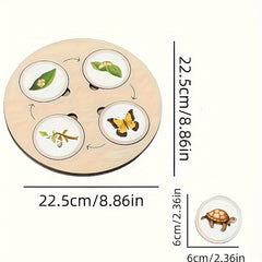 Wooden Life Cycle Board Game Kit for Ages 3 Biology Science Teaching Toy