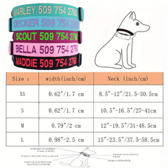 Custom Dog Collar with Name & Number