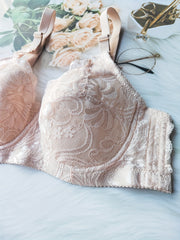 Lace Push Up Bra Scallop Trim Women's Lingerie