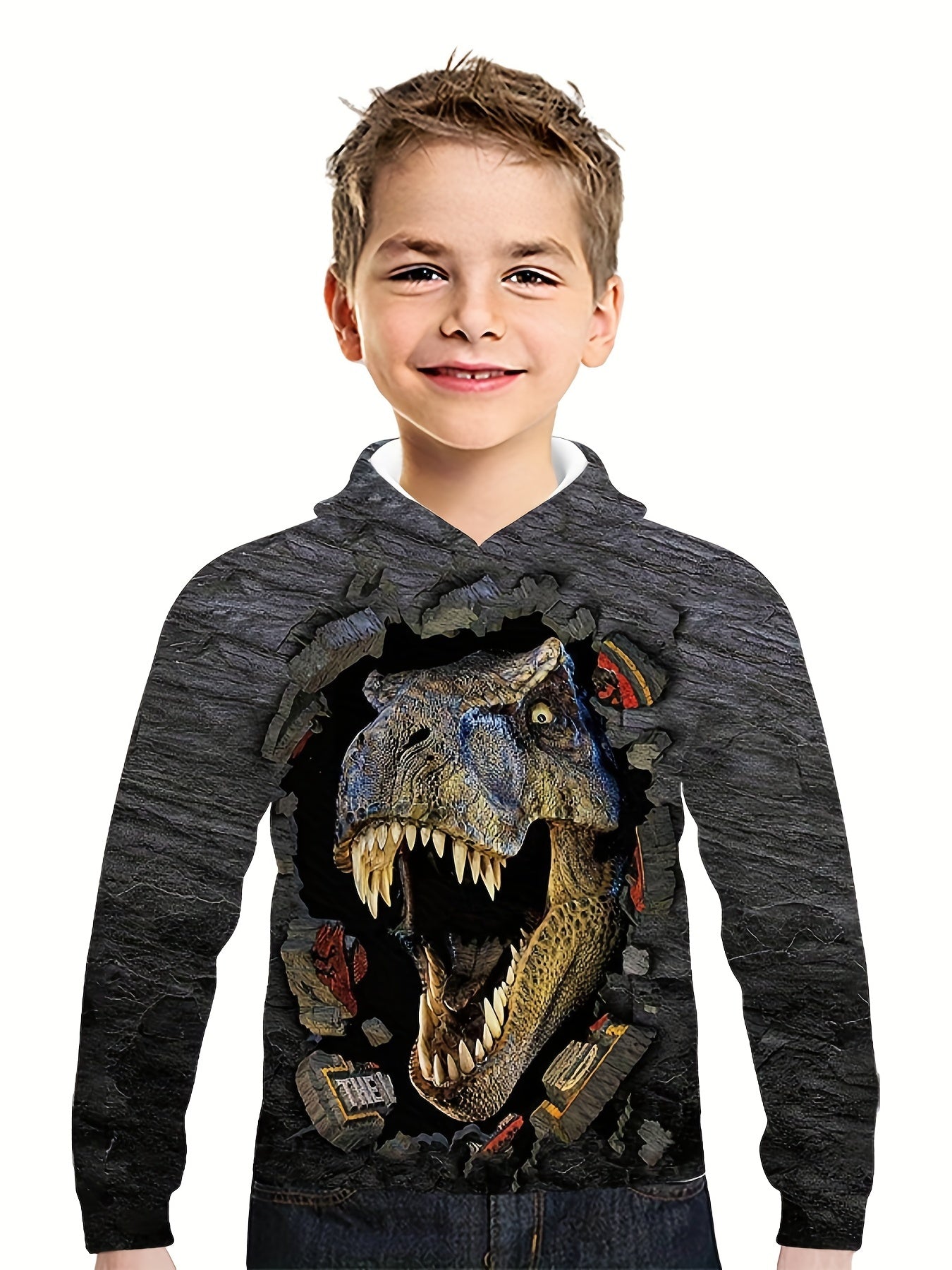 Kids Dinosaur Tyrannosaurus Hoodie 3D Print Sweatshirt Hip Hop Street Style
