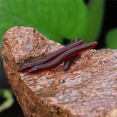 100pcs Earthworm Soft Bait for Fishing Red Maggot Lure with Fishy Smell