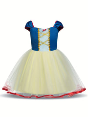 Girl Mesh Puffy Princess Dress Cosplay Costume