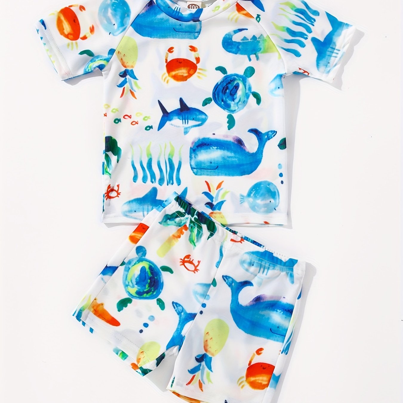 Boys Cartoon Whale Crab Sea Turtle Print Swimwear Set