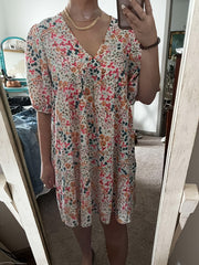Floral Print V Neck Dress Lantern Sleeve Mini Dress