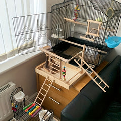 Wooden Parrot Toy Stand with Hamster Ladder