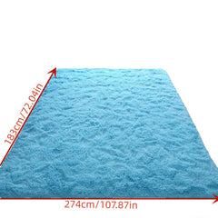 Soft Fluffy Carpet for Bedroom Kitchen Rug Plush Dormitory Room Bedside Small
