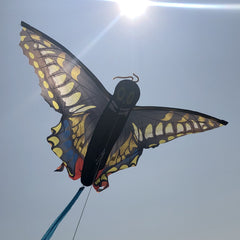 3D Butterfly Kite Multicolor Animal Shaped Outdoor Entertainment Gift