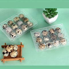 12pcs Quail Egg Packaging Box PET Plastic Holder
