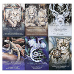 Large Oracle Cards with Learning Guide - Fortune Telling Game