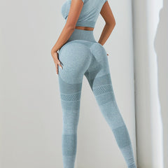 2pcs Stretchy Crop Top & Leggings Workout Set for Women