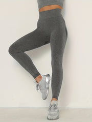 3 Pack Seamless High Waist Tummy Control Leggings for Women