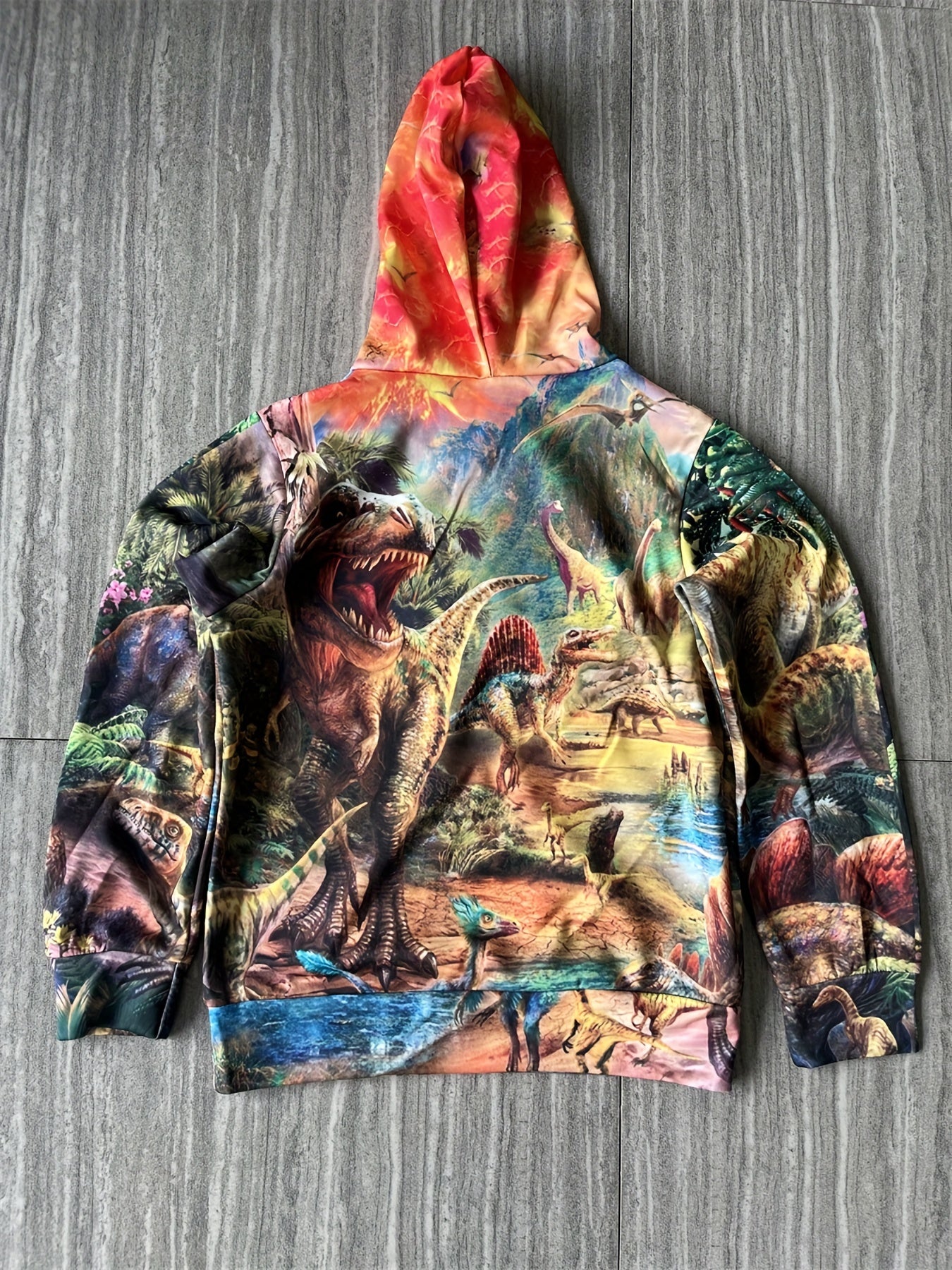 Teens Dinosaur Print Hooded Sweatshirt 3D Harajuku Long Sleeve Top