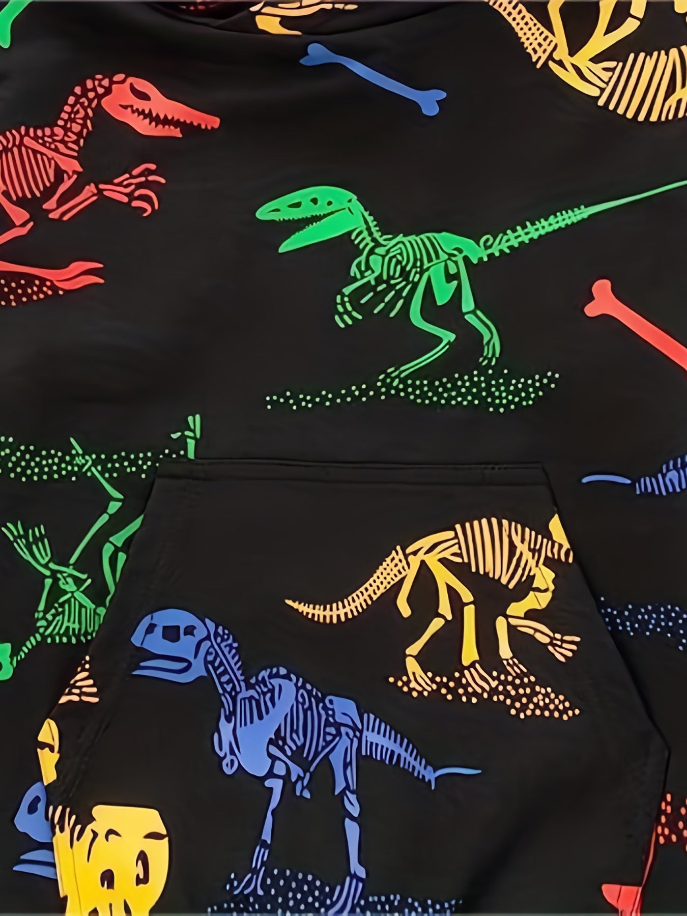 Colorful Dinosaur Boys Hoodie Spring Fall Sweatshirt