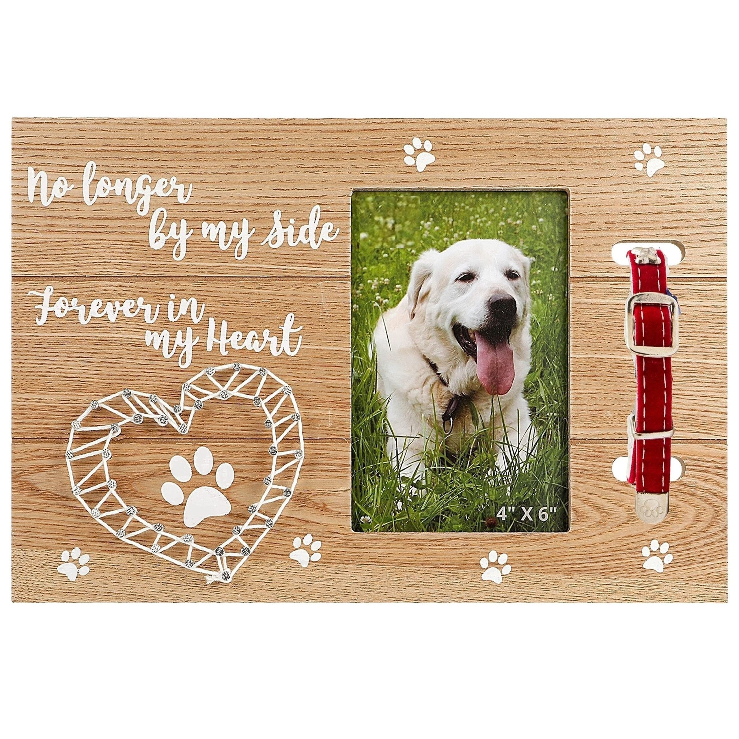 Furry Perfect Pet Memorial Frame with Collar