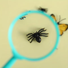 Colorful Kids Handheld Mini Magnifier 25mm Portable