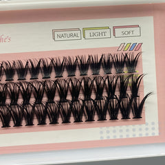 60 Cluster Lashes 40D D Curling Mix 10 12 14mm DIY Eyelash Extension