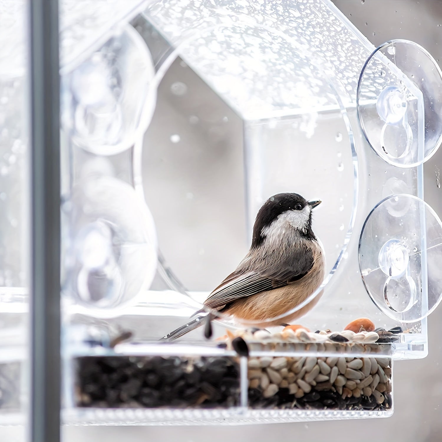 Acrylic Clear Glass Window Bird Feeder