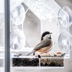 Acrylic Clear Glass Window Bird Feeder
