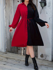Colorblock Lantern Sleeve Shirt Dress With Belt