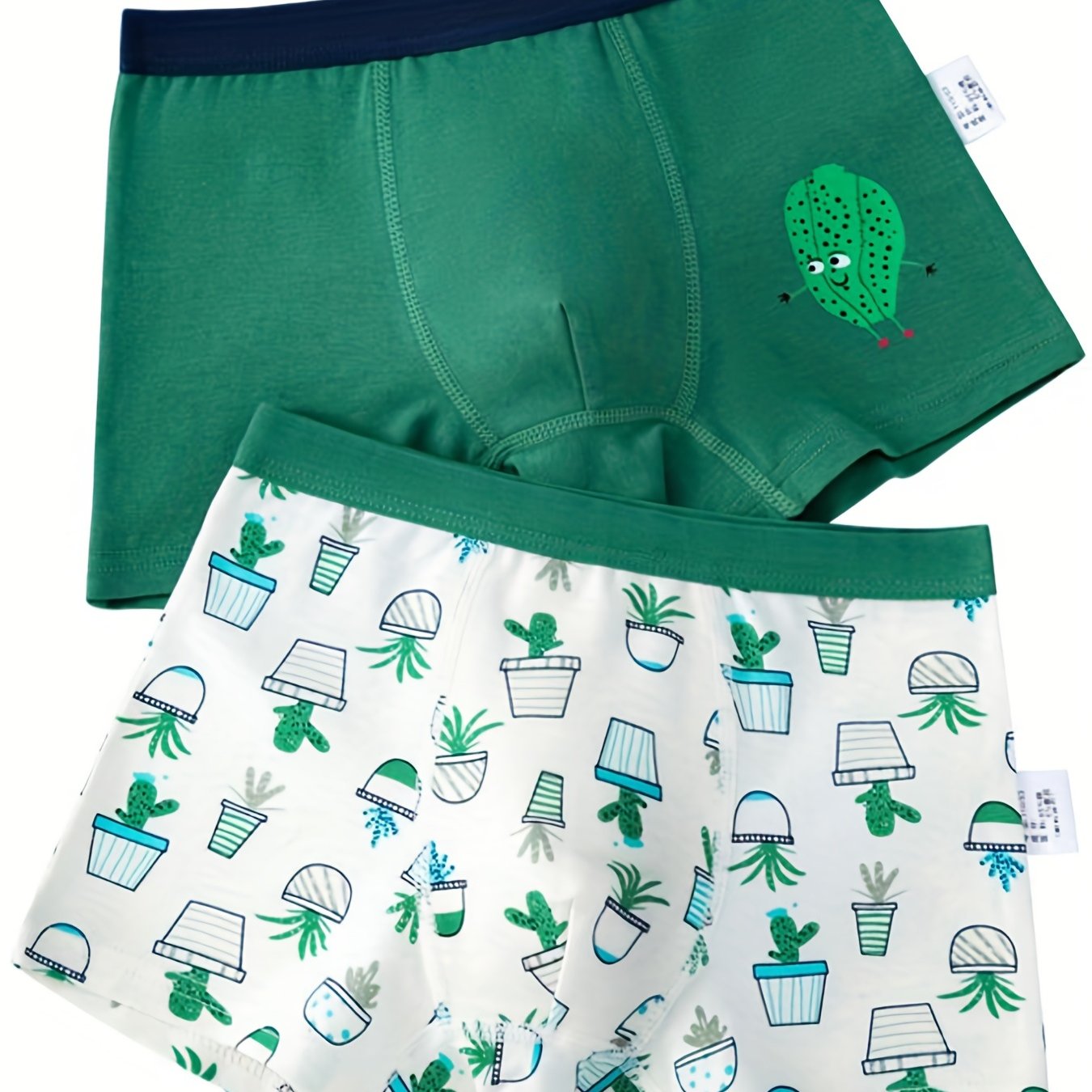 2pcs Boy's Boxer Briefs Cartoon Cactus Print Elastic Waist Shorts