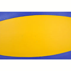 Volleyball With PU Rubber Liner For Women And Men