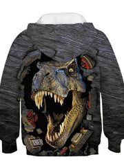 Boys' 3D Dino Hoodie Stretch Sweatshirt Spring Fall