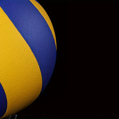 Professional Competition Volleyball No. 5 with Pump