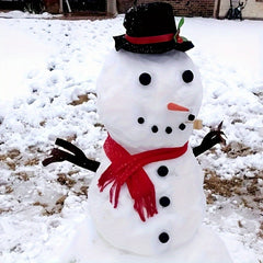 16pcs Snowman Decorating Making Kit Outdoor Christmas Party Decor