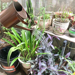 Bronze Metal Watering Can 1 5L Plants Flower Watering Can Garden Watering Pots