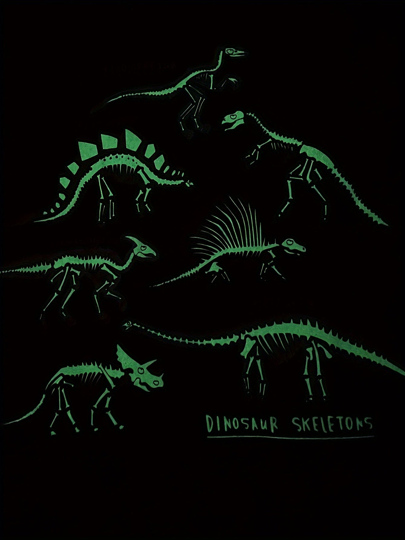 Dino Skeleton Print Kid's Long Sleeve Top