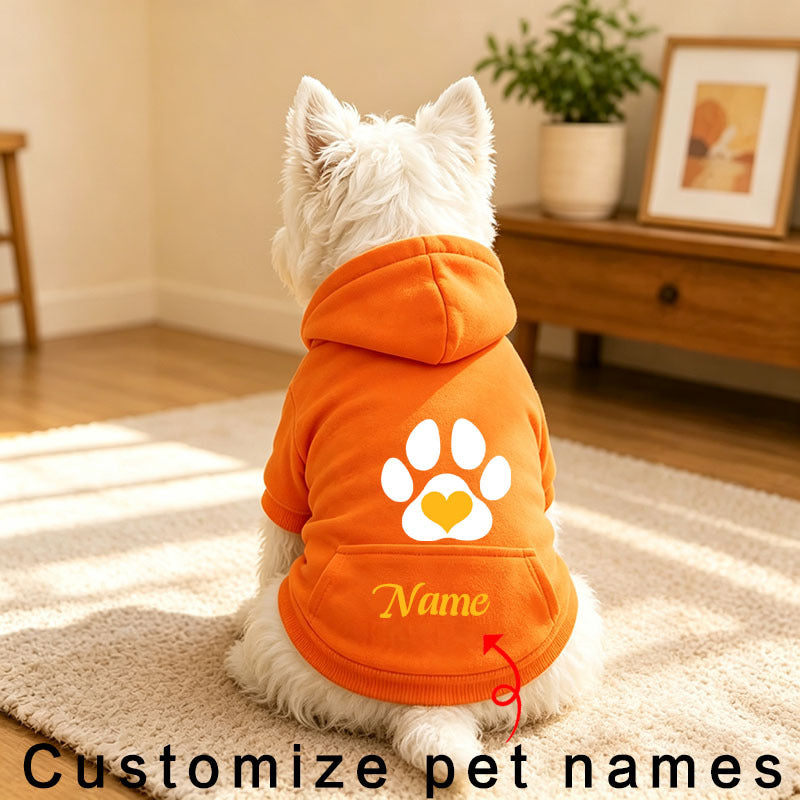 img_5202011