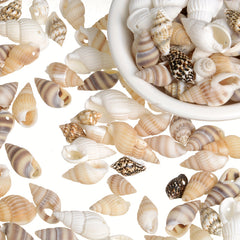 30pcs Sea Conch Shell Beads Cowrie Charm DIY Necklace Bracelet Accessories