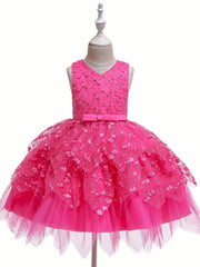 Baby Princess Dress for Parties, Weddings & More