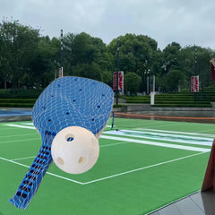 Pickleball Set with Paddle for Training and Fun