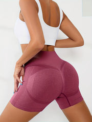 Women's Seamless Hip Lifting Yoga Shorts High Waist Workout Biker Shorts