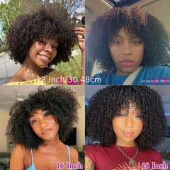 Short Afro Kinky Curly Wig With Bangs Brazilian Virgin Human Hair Wigs For Women