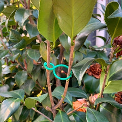 20pcs Plant Fixing Buckles for Enhancing Garden Beauty