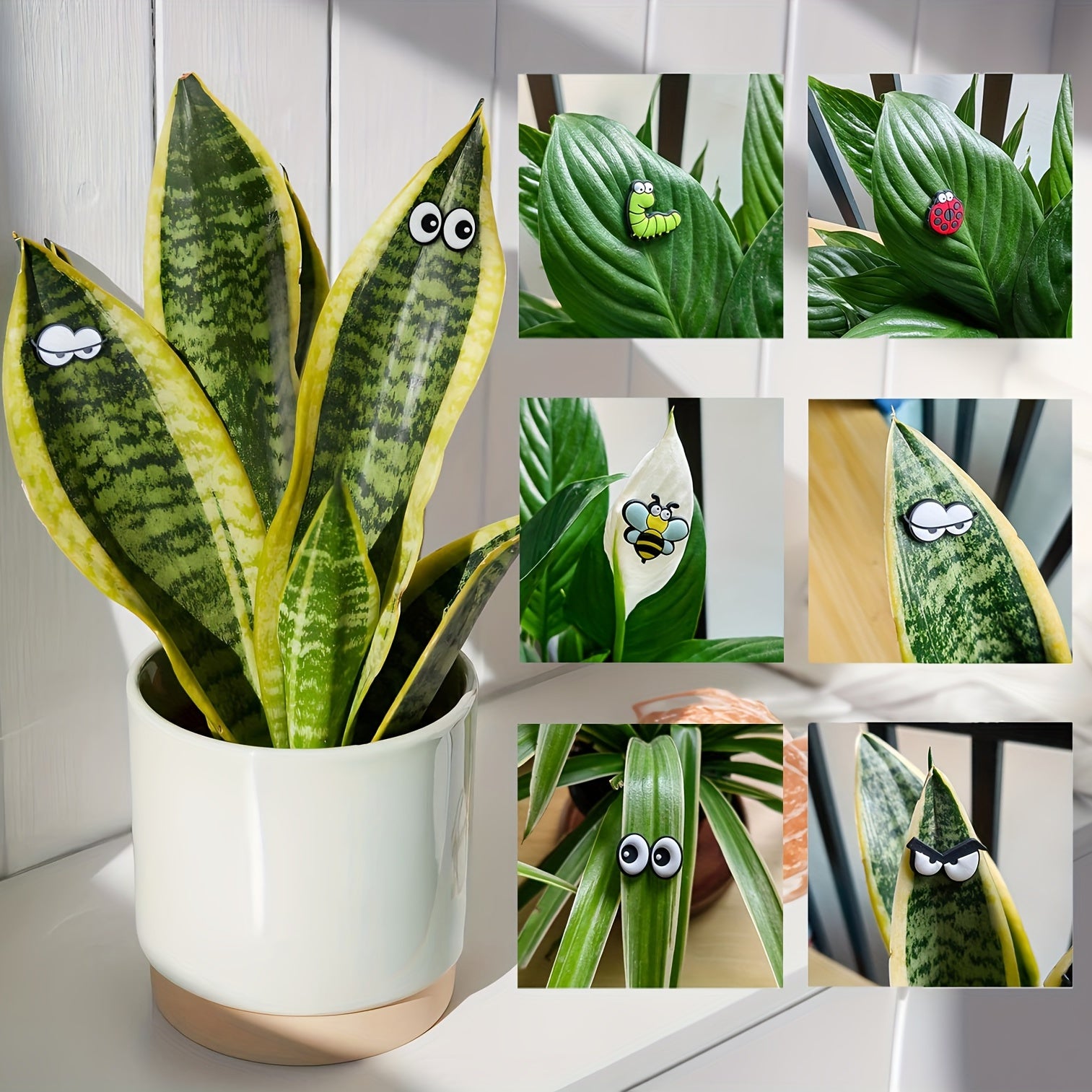 6 Pack Plant Magnet Eyes Potted Plant Safe Charms Indoor Plant Accessories