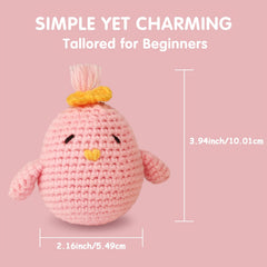 Beginner's Knitting Kit Bird Easy Hook Crochet Kit Step by Step