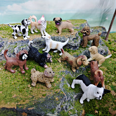 Dog Models Shiba Inu Chihuahua Bulldog Golden Retriever