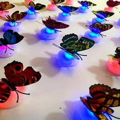 Luminous Butterfly LED Night Light Home Decor