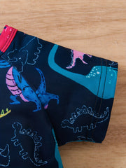Boys Dinosaur Casual Outfit T-shirt & Shorts Set